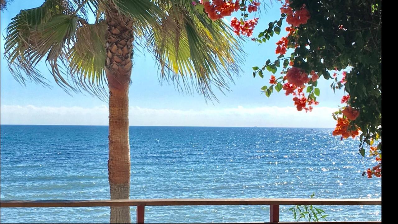 Mi Capricho B17 Beachfront Apartment Sitio de Calahonda Exterior photo